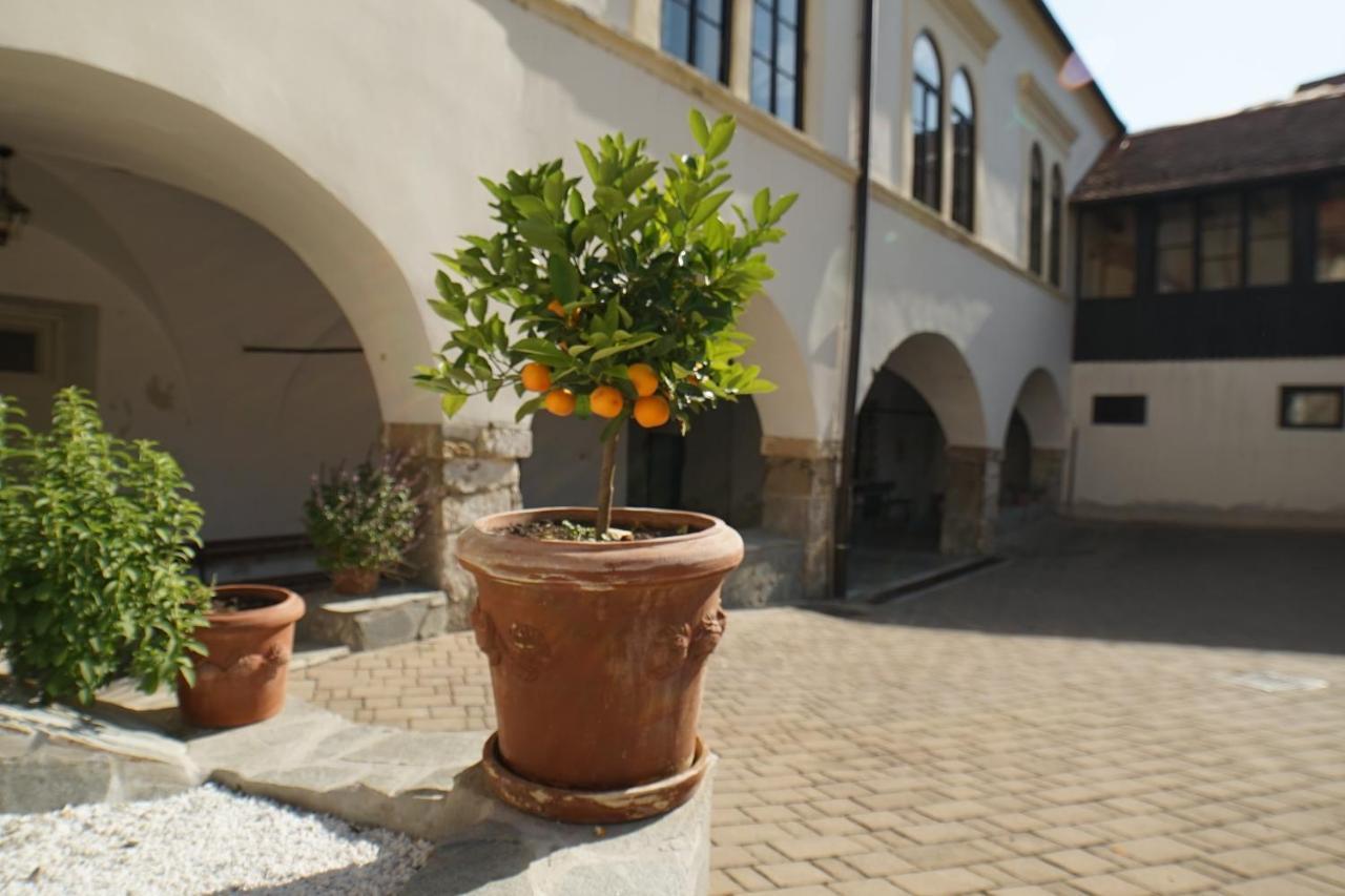 Appartamento Sobe Prostija Ptuj Esterno foto